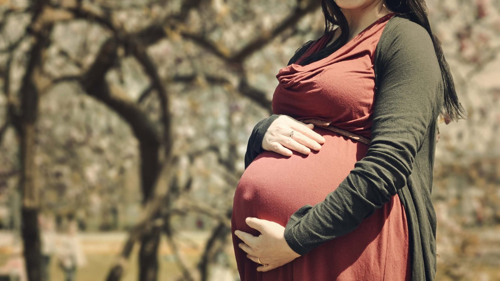 Surrogate Mother